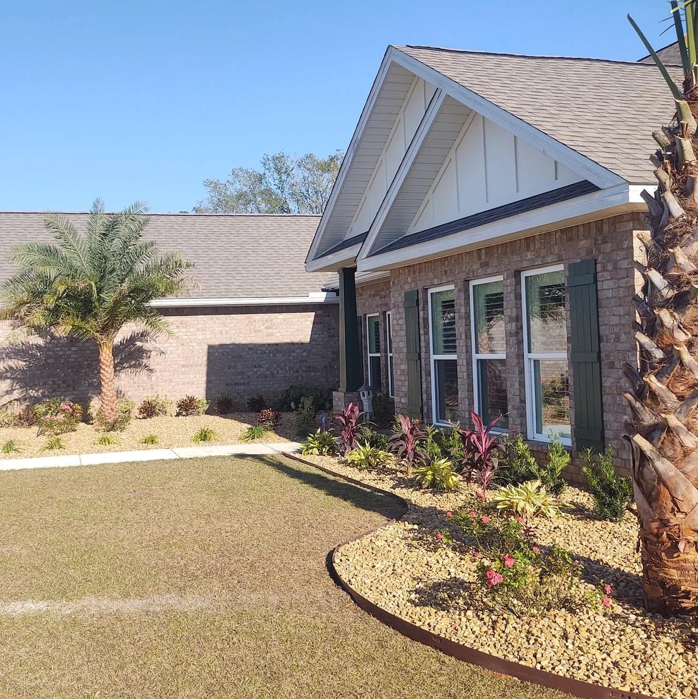 A brick house with new curved beds of gravel and red-leaf plants, edged with metal edging and young palms